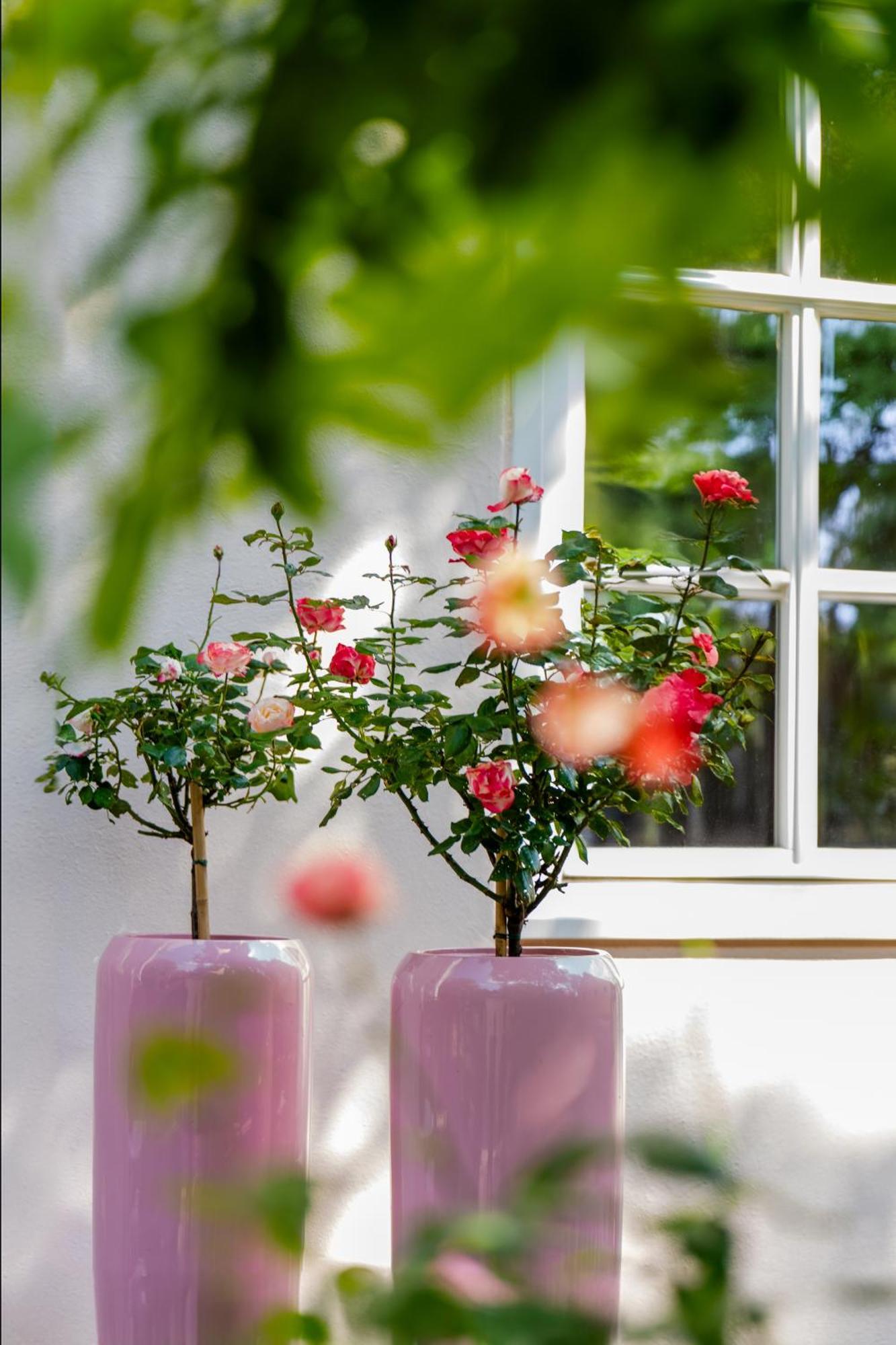 Schlosshotel Wilhelmsthal Calden 外观 照片